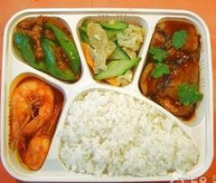 學校食堂承包全攻略 供應信息、批發渠道與價格參考