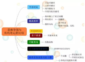 古都西安 思維之網(wǎng)，網(wǎng)絡(luò)技術(shù)服務(wù)的璀璨融合